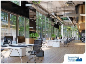 180-1608292300-1215-ctbizcenters2.jpg
